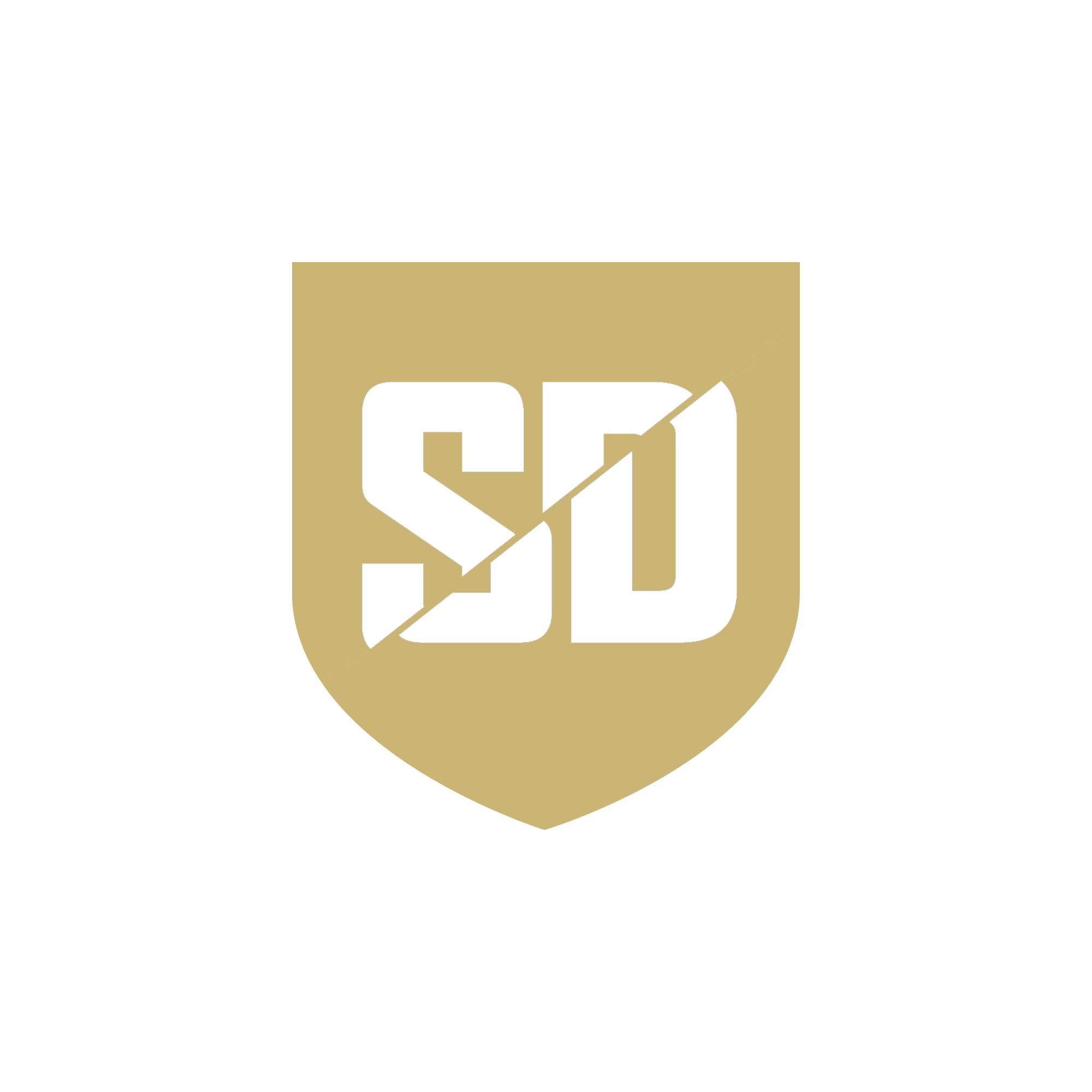 SD IMAGE BLANC